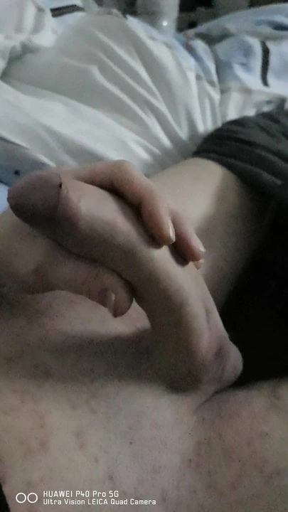 Penis