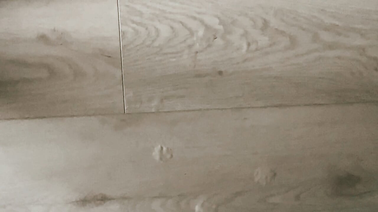 穿著裙子和丁字褲在我的大屁股上自慰