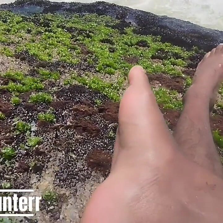 My Beautiful Feet After a Day of Work Taking Vitamin D on the Beach
