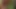 Latin Jungle Sex Orgy