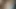 Big Ass Girl Indian Aunt of the Village Was Fucked Very Lovingly Tamil Real Homemade Indian Sex With Indian Bhabhi In X Videos