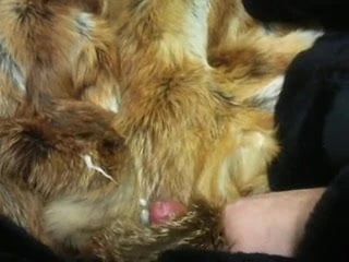 come (cum) on (in) fur coat