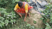 Pratinjau video