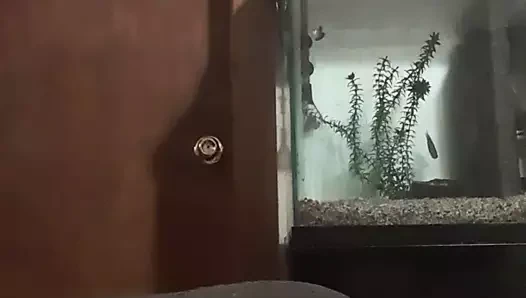 Seni düşünüyorum!