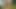 Fuck Me Right Here - Amateur Couple Risky Sex in Public Forest Park