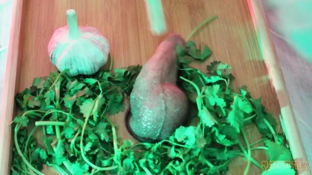 FleshPotFilms: Blake James Enjoys Toying His Sub Willy Wankers Tight Ass