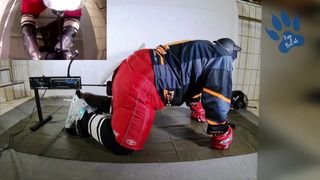 Cachorro de hockey acostumbrándose a f-machine con juguete de 6,8 cm