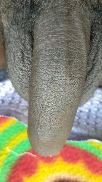 8 inch ka land so raha hai