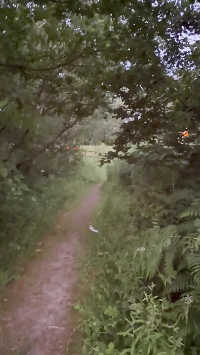 Dogging spot risky barefoot nude walk