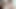 アンジーとルナ、二人の美しい女の子がペニスを共有したいと言っています