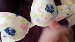 blowing a huge load on 3 nice padded push up bras