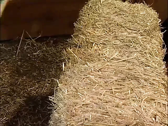 Stud farm