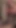 Küçük femboy büyük zenci yarağı dildosunu alıyor ve titremeye başlıyor