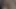 Babysitter-Update 21 wird fortgesetzt