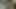 素晴らしい女子大生は一緒に遊ぶのが大好きです