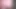 Pembe şort iş yerinde azdırıyor