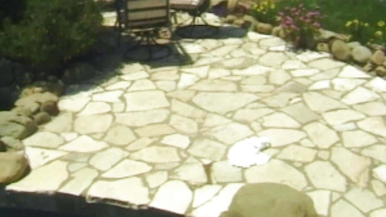 Wilder Pool-Sex
