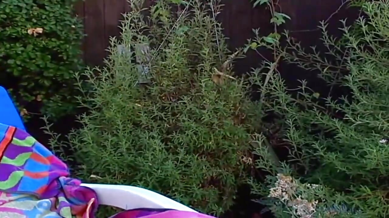 hemmungslose Sehnsucht explodiert wenn alle Sicherungen