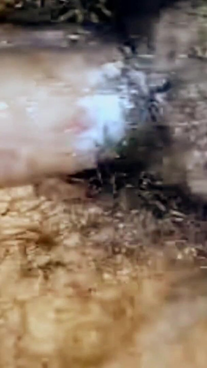 Bhabhi gets fucked hardcore | Clip 2