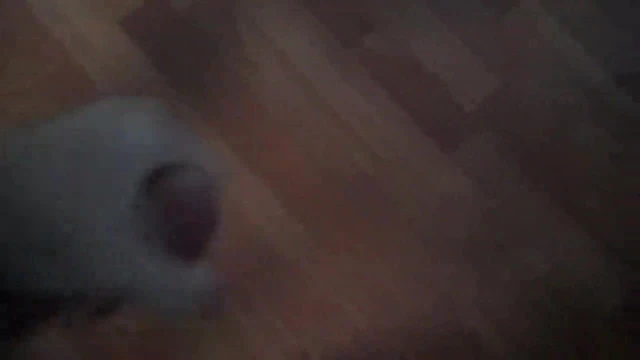 My First Cum Video