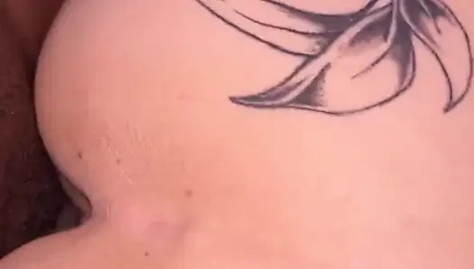 Snowbunny geri atıyor