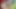 Heißer interracial dreier mit dunkler hautschönheit