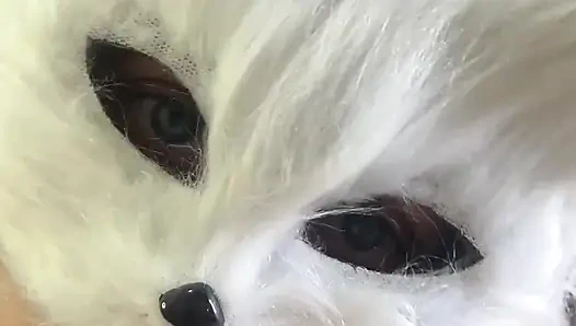 Today I'm a Naughty Kitten Who Wants Milk