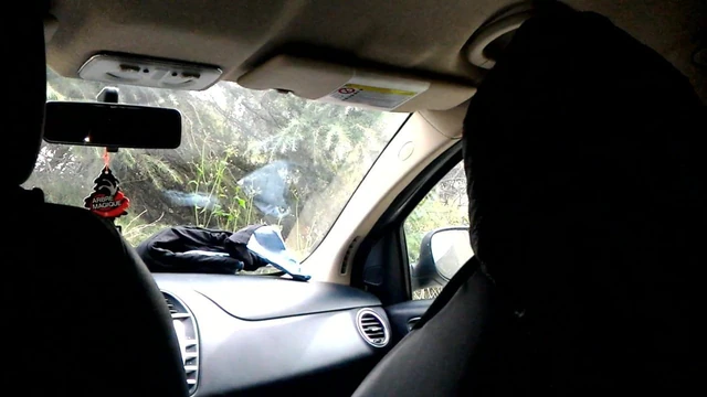 Svetla suck again in car