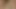fat black cock feed white ass