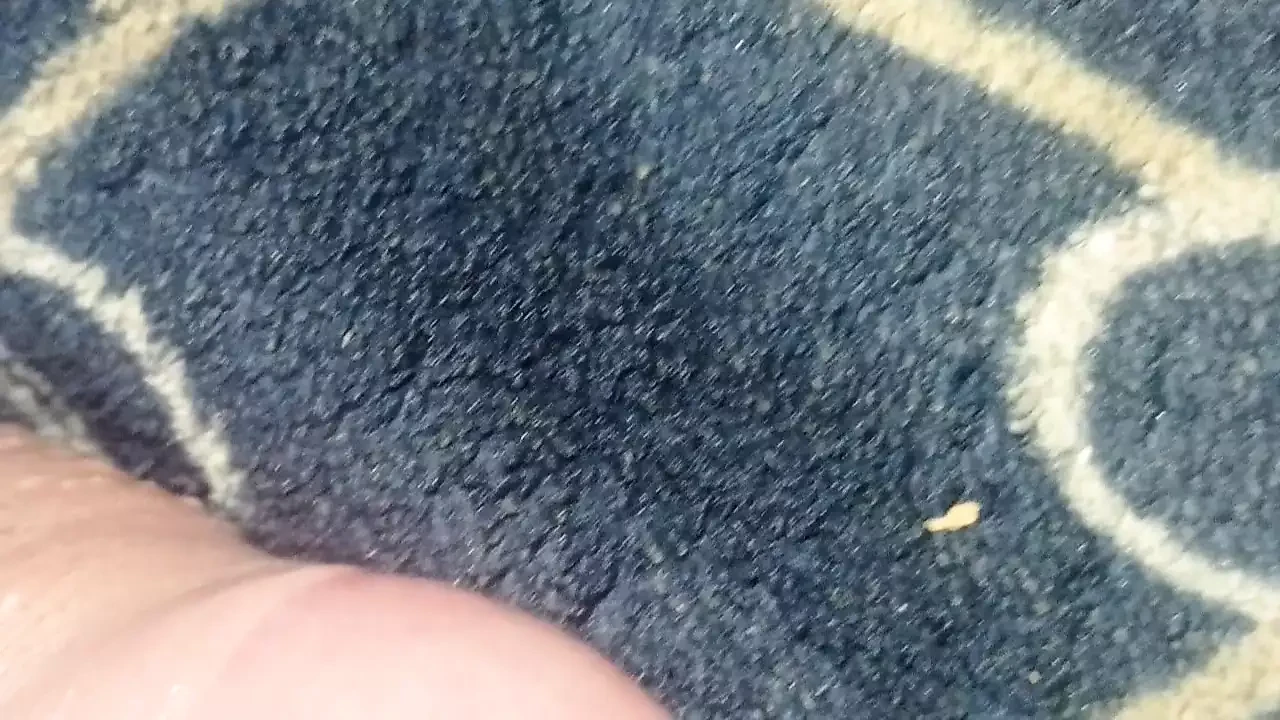 Jovem pornô colombiano no meu quarto eu me masturbo