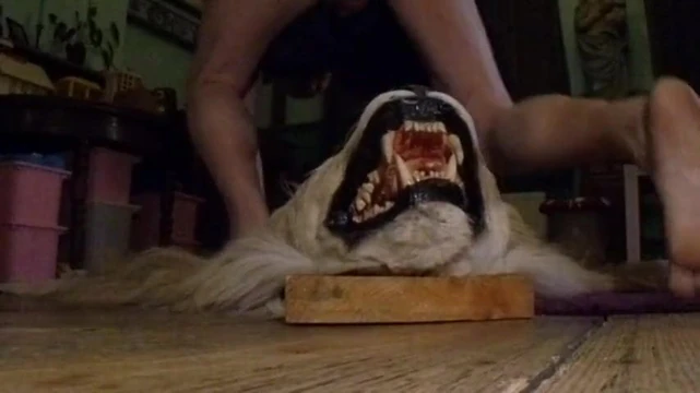 fake lion rug
