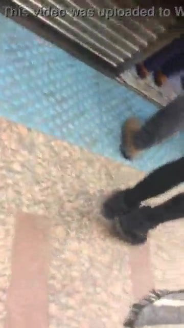 Sexy co worker lily leggings spandex