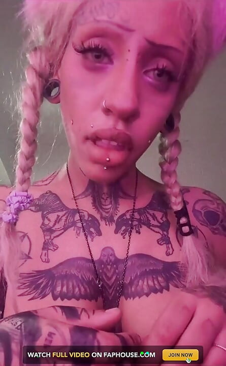 Hvem vil ha mer Kitty Girl?