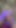 Maddie X sucking cock in the woods