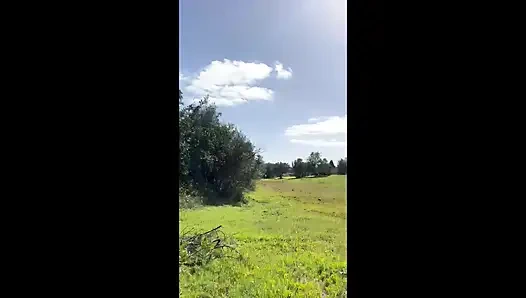 Скачка или трах