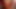 BBC maskierte gesichtsbesamung