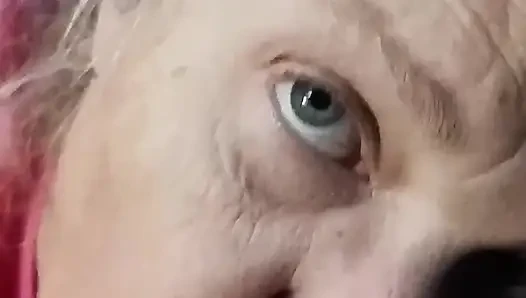 Schau zu, wie diese reife bBW ihrer freundin einen blowjob gibt!