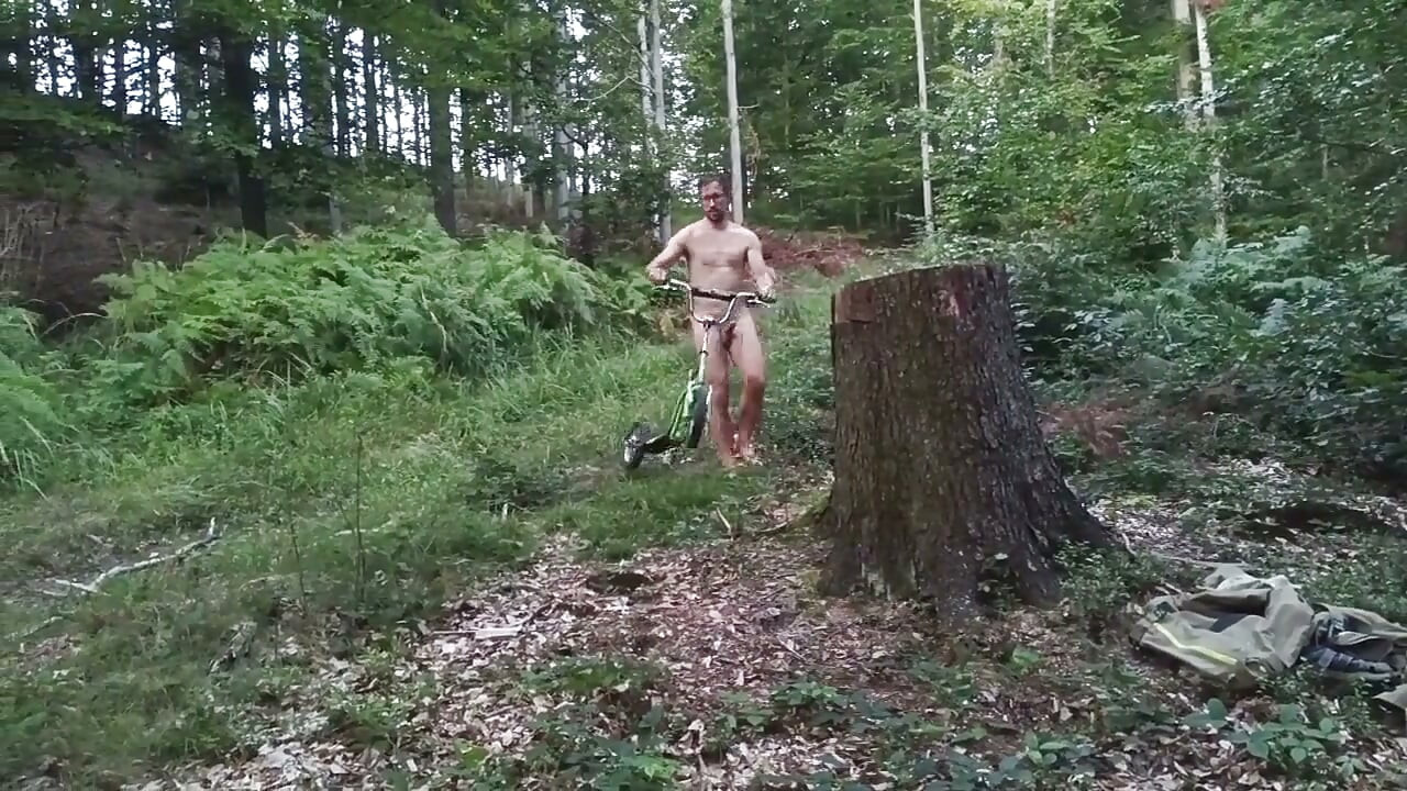 Stump Chase, Part Two