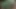 Manara'nın duvar deliği macerası skyrim 3d animasyon koyu yeşil ten rengi düzenleme smixix