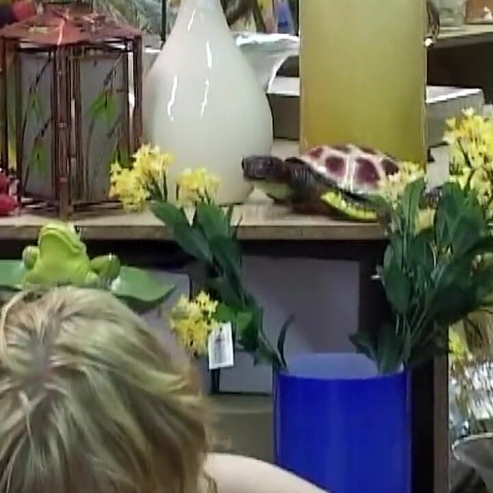 Os chefes pegam as meninas.