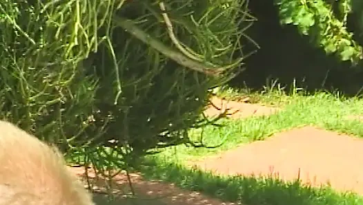 Heißer Pool-Sex in weißen Panties