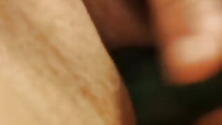 Nut Time