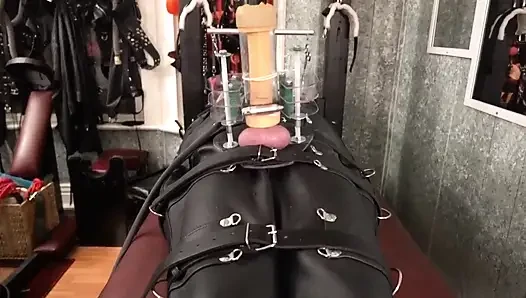 Perbudakan tas bdsm dan peras susu venus 2000