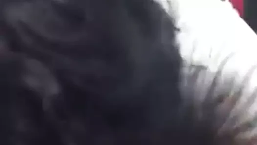 Sissy gives blowy