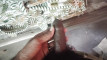 Pratinjau video