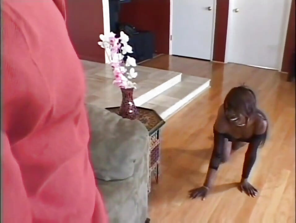 Black couple loves the cock loves the pussy...cum in mouth