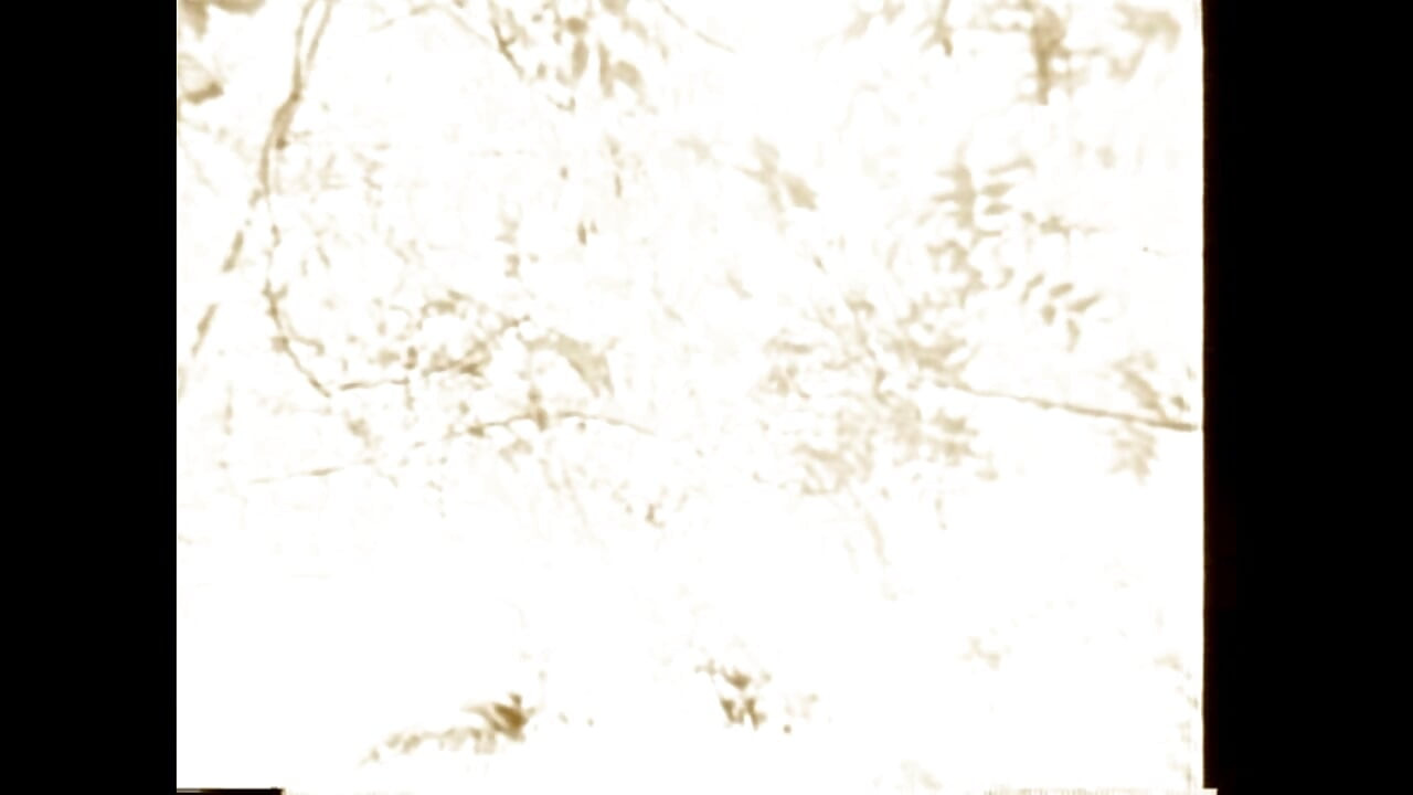 燃える草の葉の上で