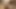 Slip Hump Masturbation