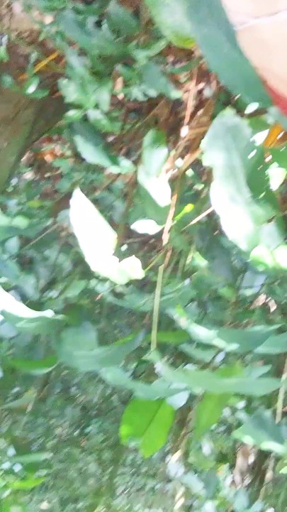 Girl Caught Me Masturbating on the Trail and Watched Me