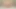 HELP! My ass is getting FATTER! FAT ASS Sissy Slut, TWERKS, FUCKS Dildo HARD, MOANS, GAPES & CUMS
